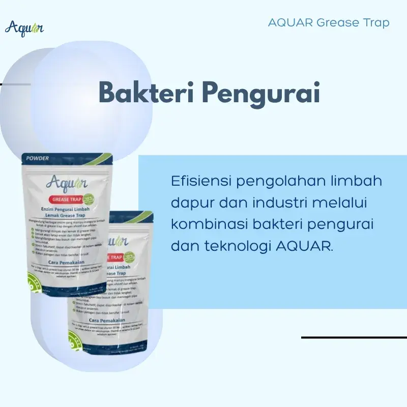 Bakteri grease trap