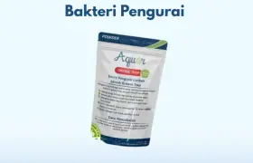 Bakteri pengurai grease trap