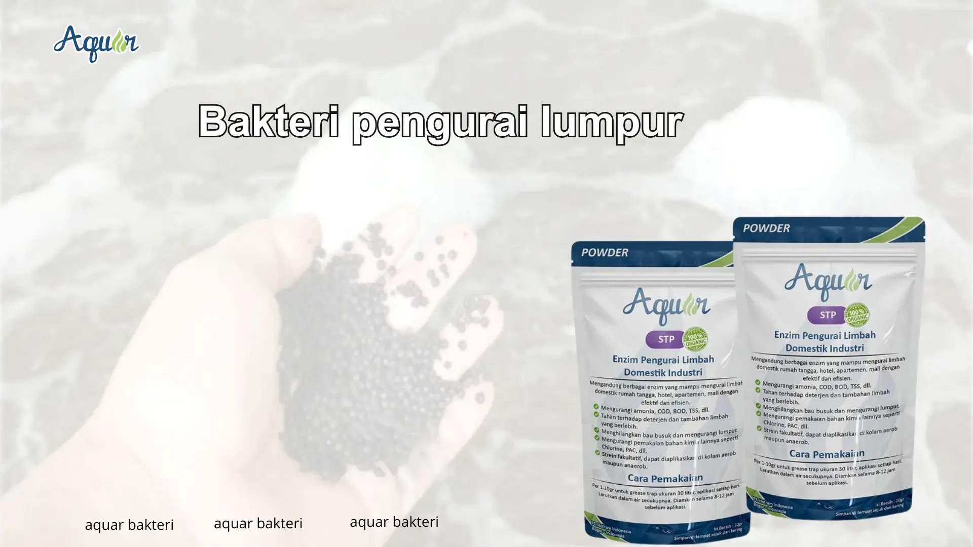 Bakteri pengurai lumpur