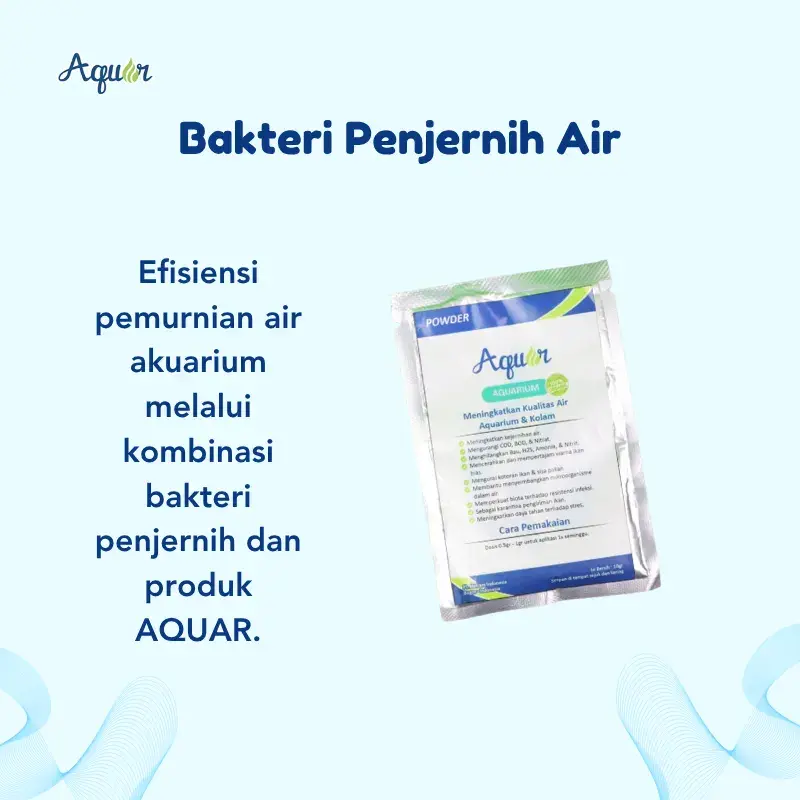 bakteri-penjernih-air-2.webp