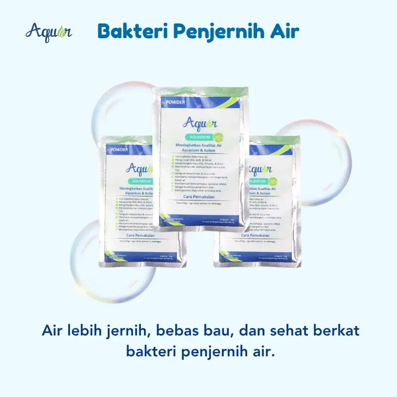 bakteri-penjernih-air-3.webp
