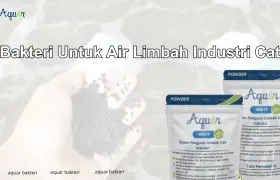 Bakteri Untuk Air Limbah Industri Cat