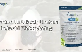 Bakteri Untuk Air Limbah Industri Elektroplating
