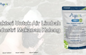 Bakteri Untuk Air Limbah Industri Makanan Kaleng