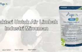 Bakteri Untuk Air Limbah Industri Minuman