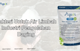 Bakteri Untuk Air Limbah Industri Pengolahan Daging