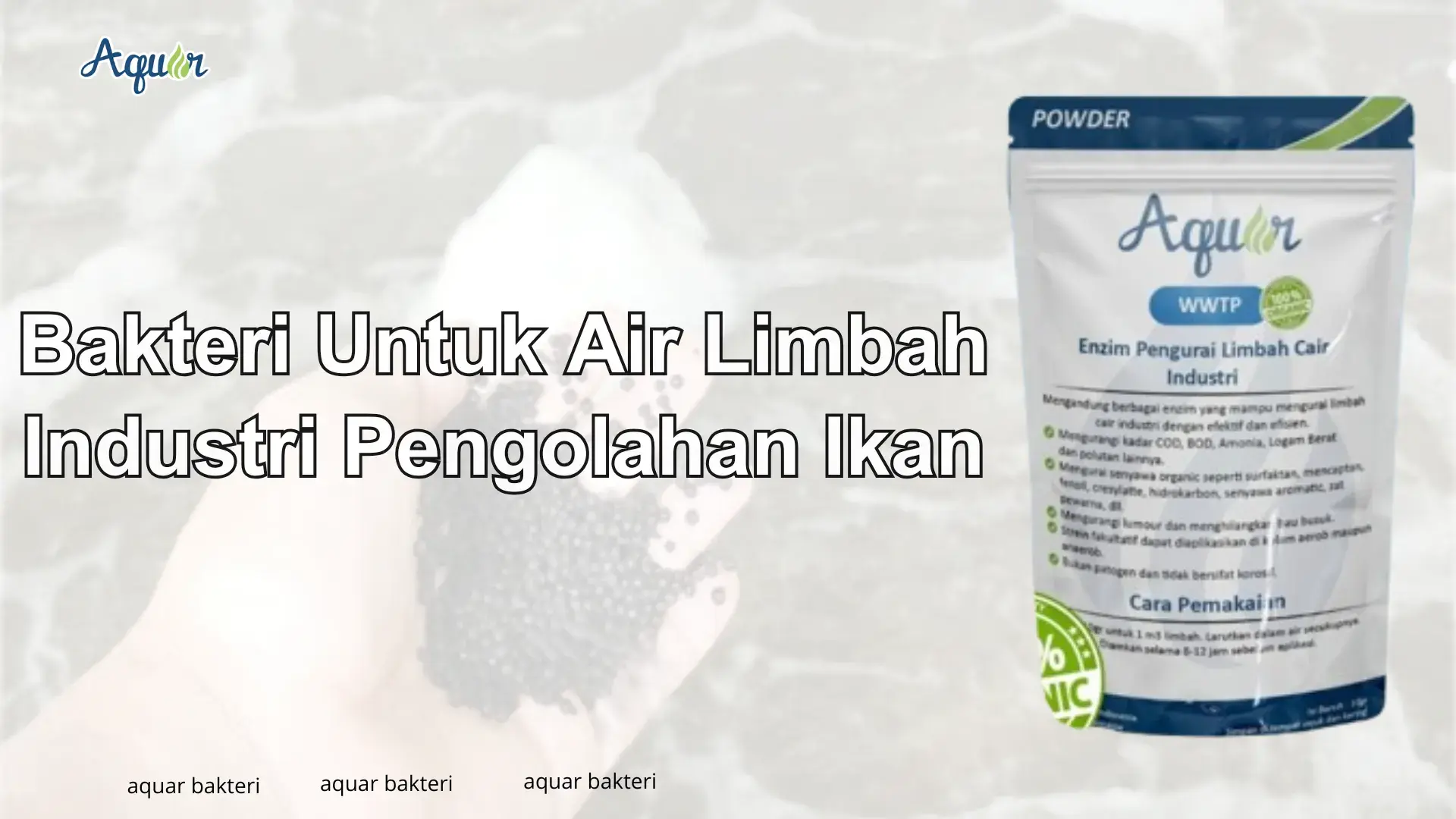 Bakteri Untuk Air Limbah Industri Pengolahan Ikan