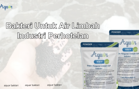Bakteri Untuk Air Limbah Industri Perhotelan