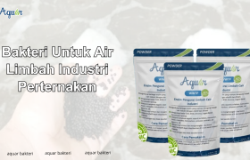 Bakteri Untuk Air Limbah Industri Perternakan