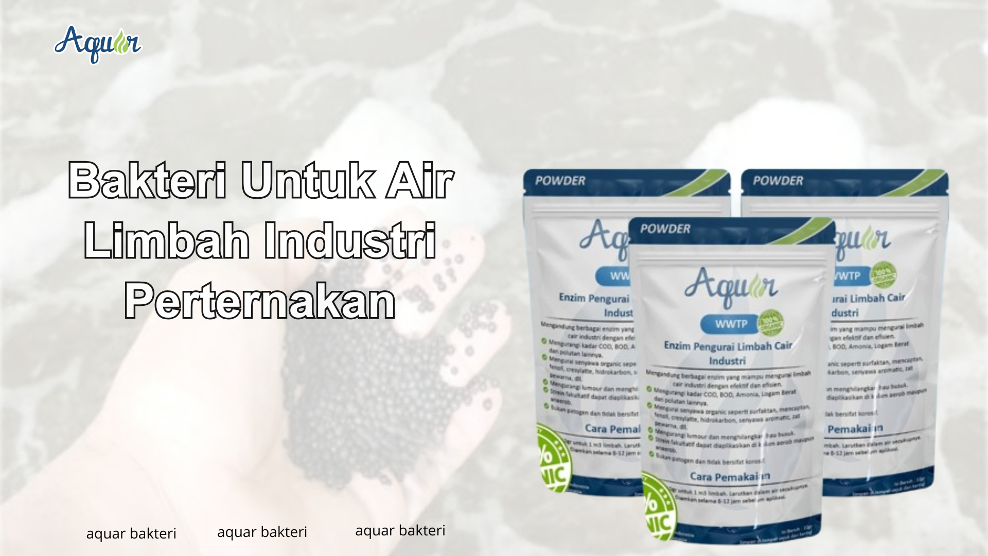 Bakteri Untuk Air Limbah Industri Perternakan