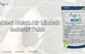 Bakteri Untuk Air Limbah Industri Tahu