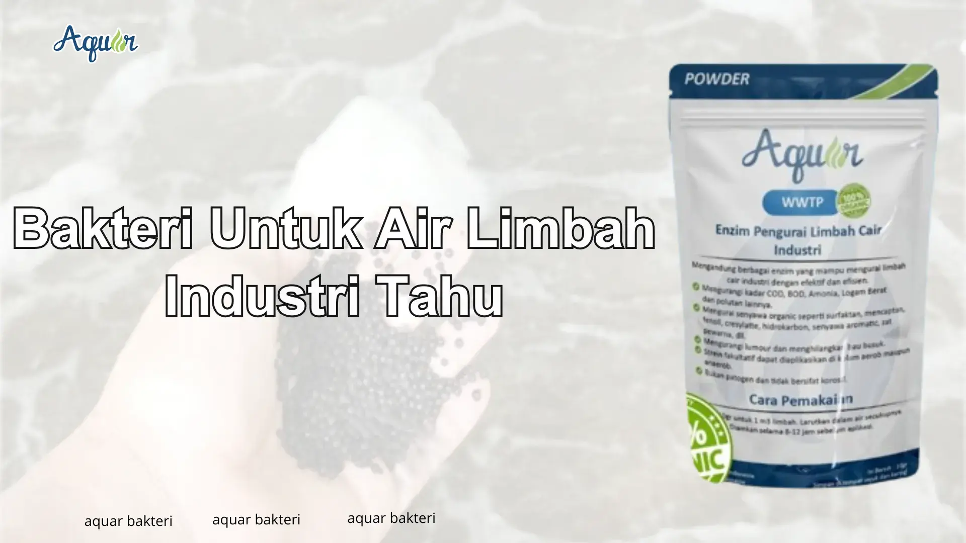 Bakteri Untuk Air Limbah Industri Tahu