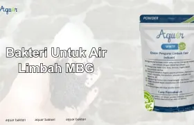 Bakteri Untuk Air Limbah MBG