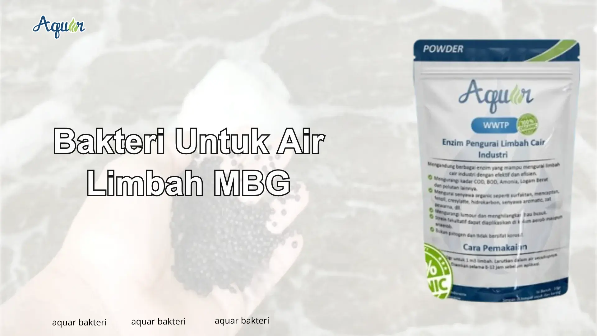 Bakteri Untuk Air Limbah MBG