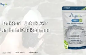 Bakteri Untuk Air Limbah Puskesmas