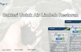Bakteri Untuk Air Limbah Restoran