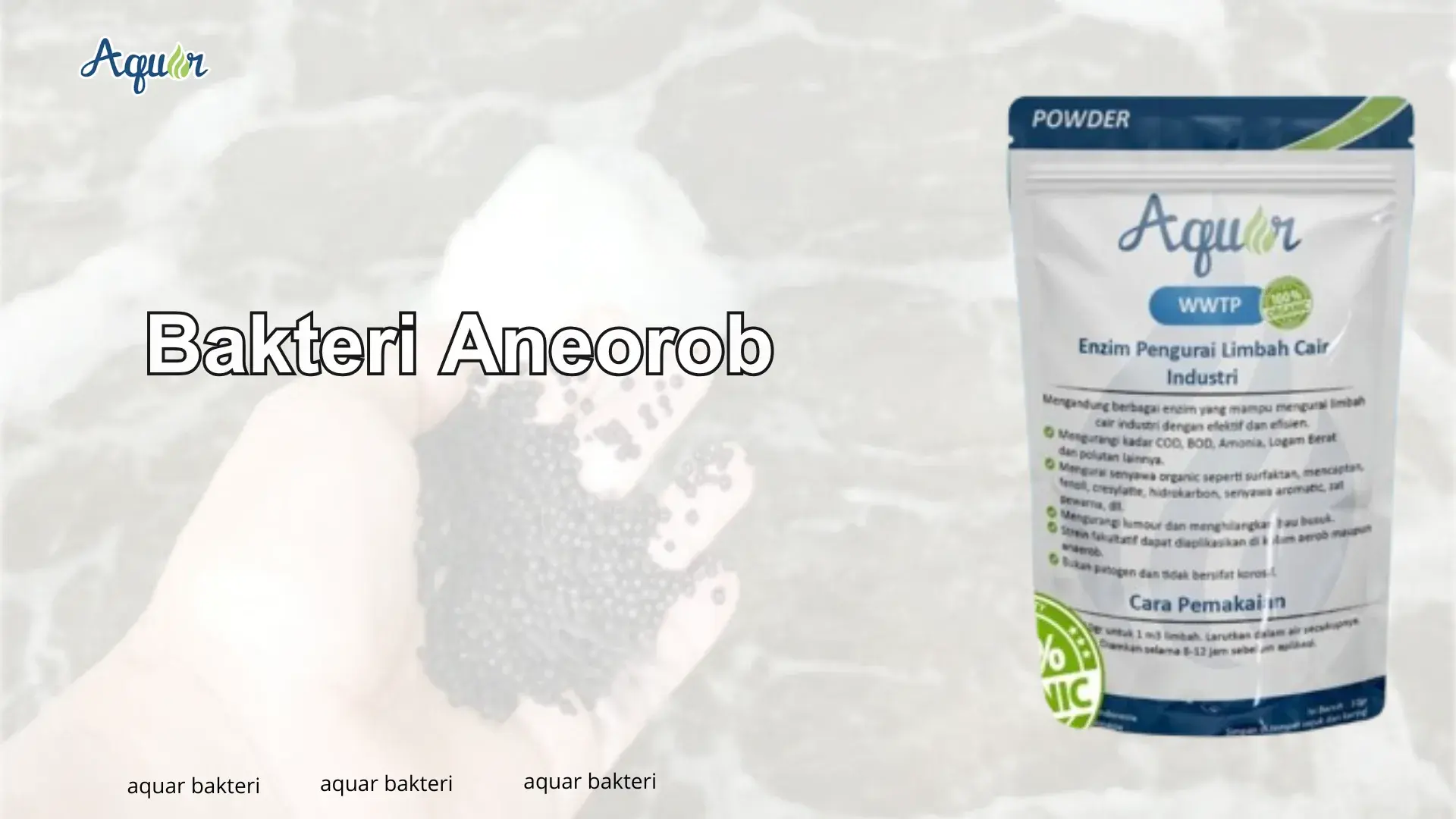 Jual Bakteri Anaerob