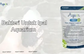 Bakteri Untuk Ipal Aquarium