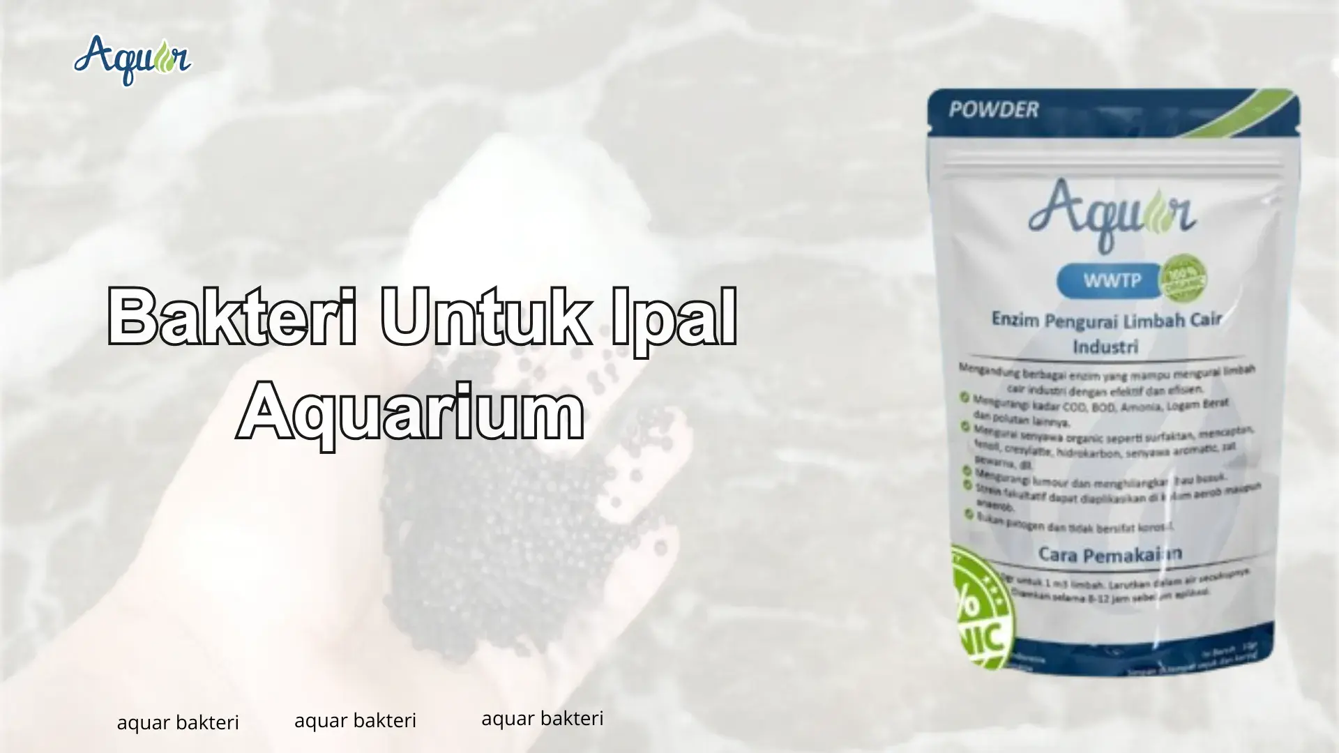 Bakteri Untuk Ipal Aquarium