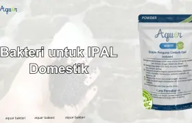Bakteri untuk IPAL Domestik