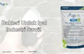 Bakteri Untuk Ipal Industri  Sawit