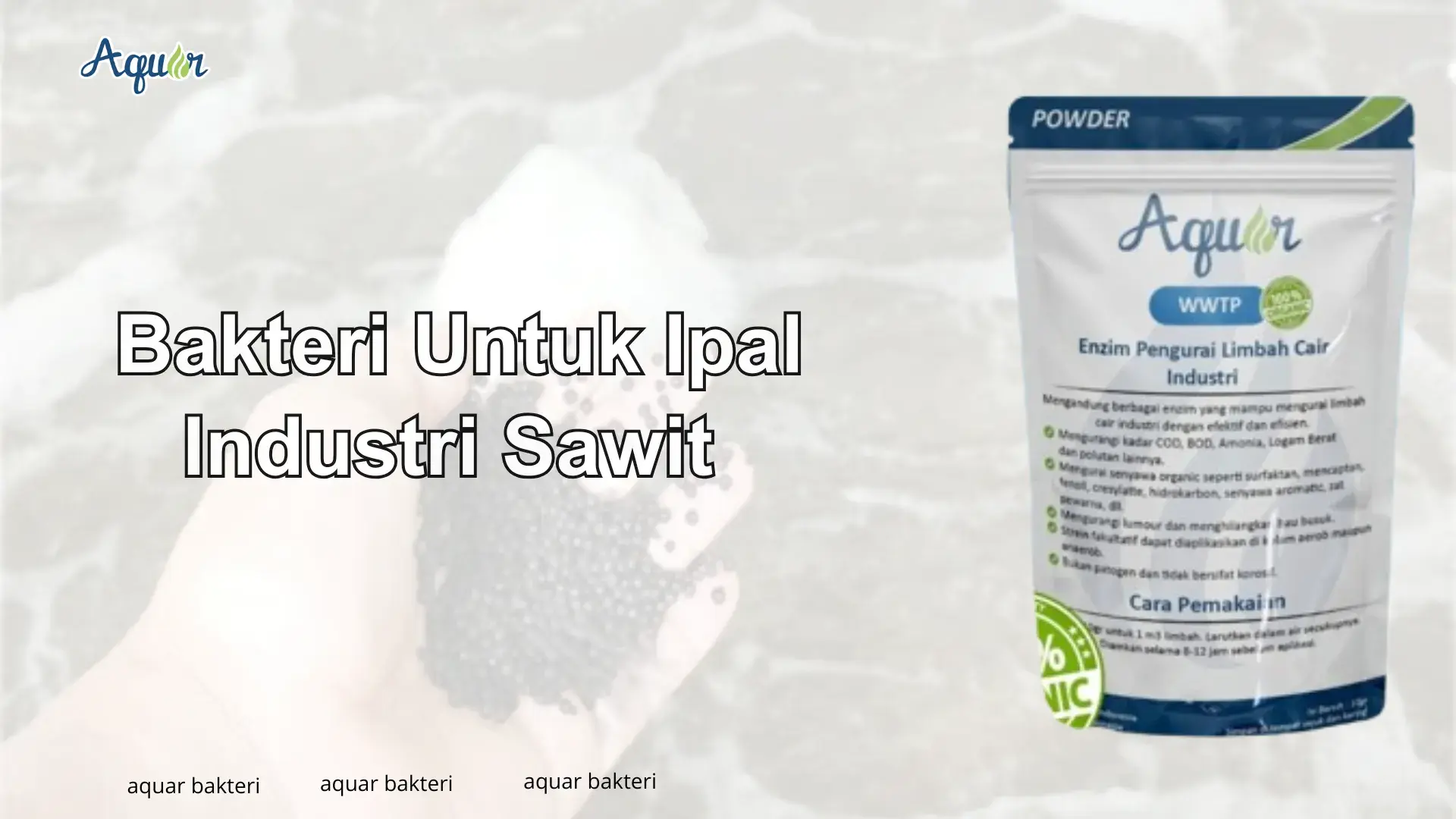 Bakteri Untuk Ipal Industri  Sawit