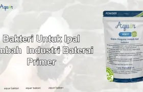 Bakteri Untuk Ipal Limbah Industri Baterai Primer