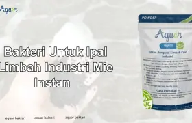 Bakteri Untuk Ipal Limbah Industri Mie Instan