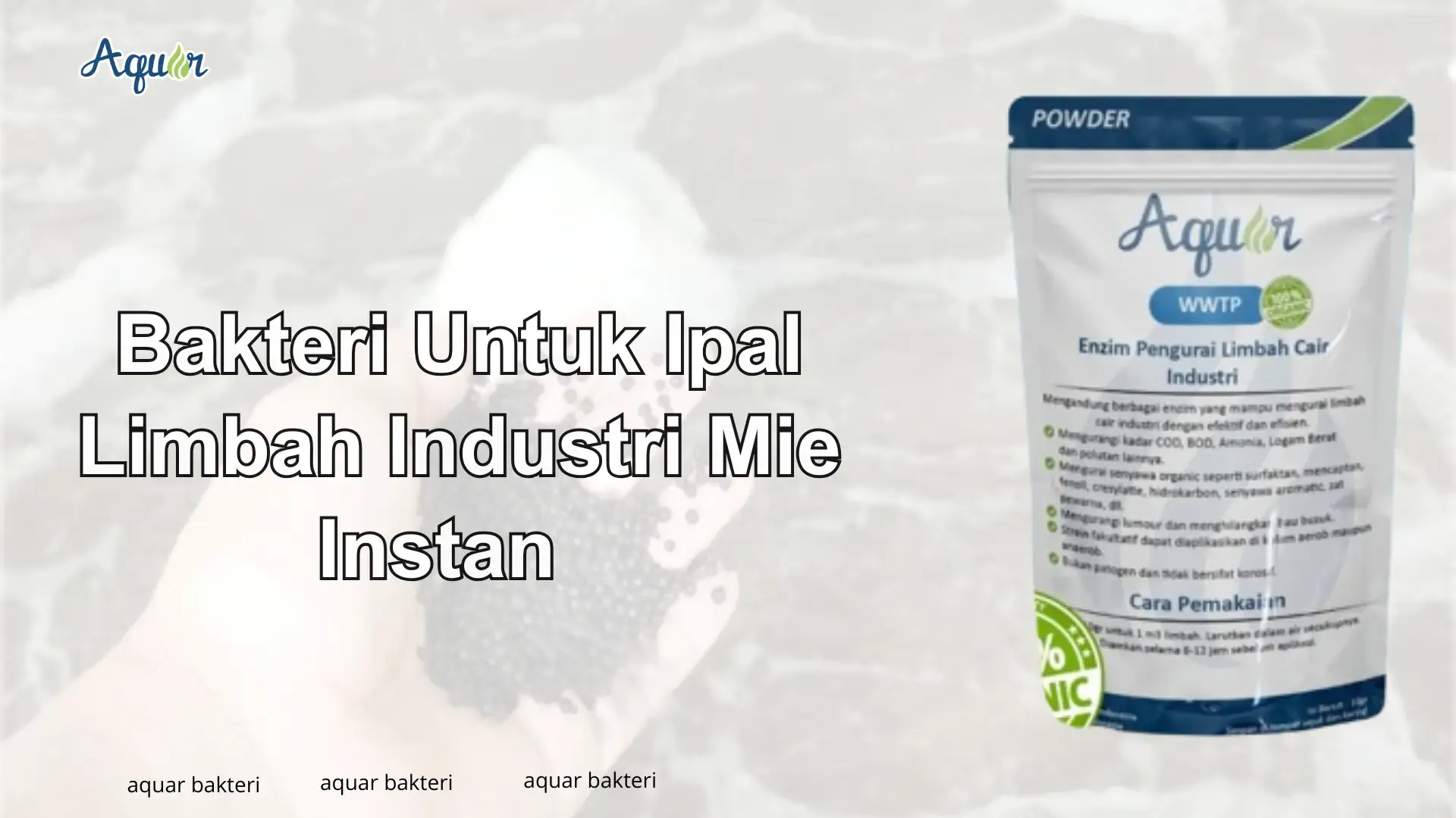 Bakteri Untuk Ipal Limbah Industri Mie Instan