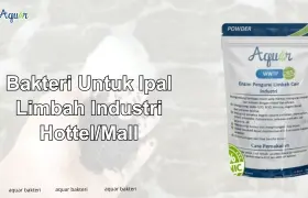 Bakteri Untuk Ipal Limbah Industri kimia