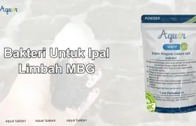 Bakteri Untuk Ipal Limbah MBG
