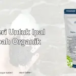 Bakteri Untuk Limbah Organik