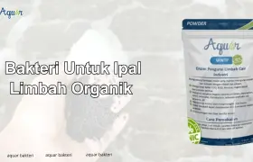 Bakteri Untuk Limbah Organik