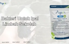 Bakteri Untuk Ipal Limbah Sekolah