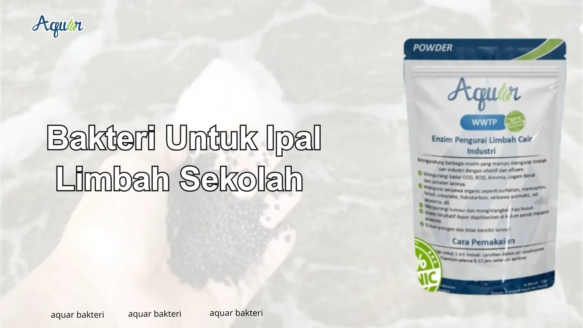 Bakteri Untuk Ipal Limbah Sekolah
