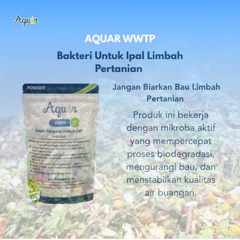 Bakteri Untuk Air Limbah Industri Makanan Kaleng (2)