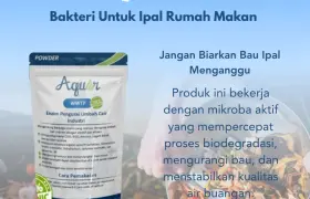 Bakteri Untuk Ipal Rumah Makan