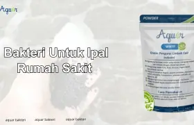 Bakteri Untuk Ipal Rumah sakit