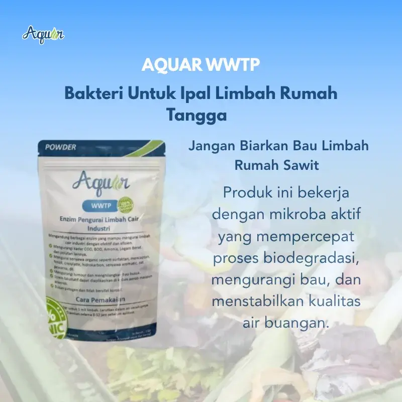 Bakteri Untuk Air Limbah Industri Makanan Kaleng (2)