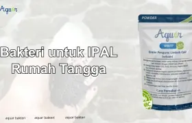 Bakteri untuk IPAL Rumah Tangga
