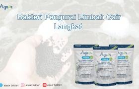 Bakteri Pengurai Limbah Cair Langkat