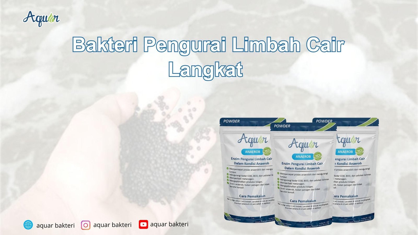 Bakteri Pengurai Limbah Cair Langkat
