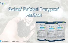 Solusi Bakteri Pengurai Karbon