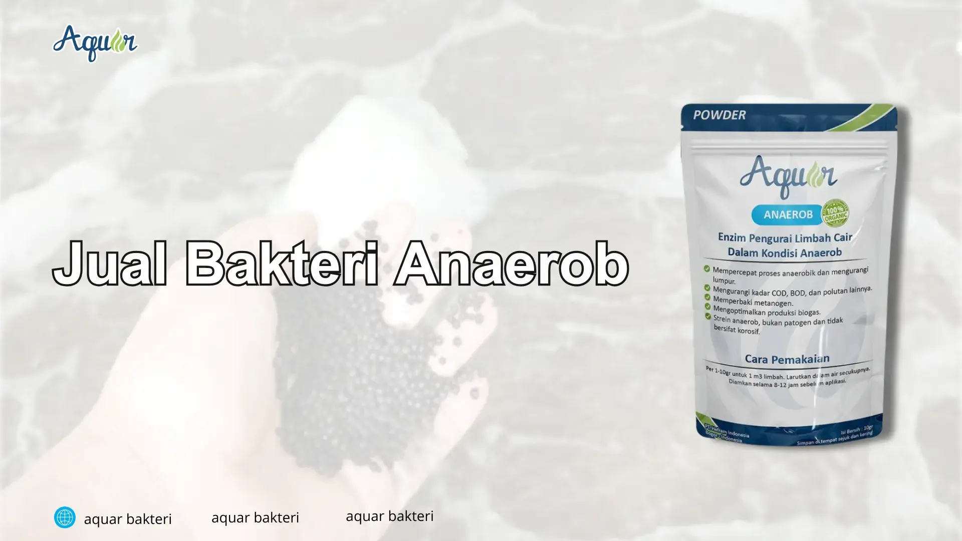 Jual Bakteri Anaerob