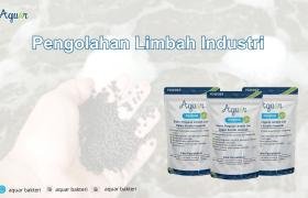 Pengolahan Limbah Industri