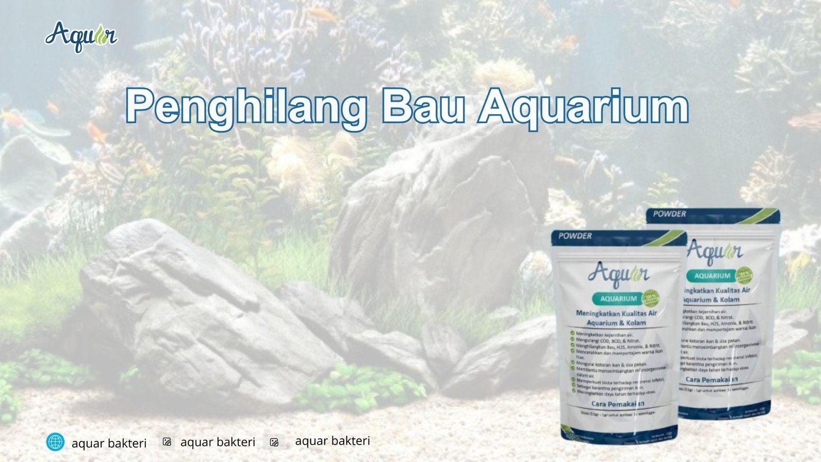 Penghilang Bau Aquarium