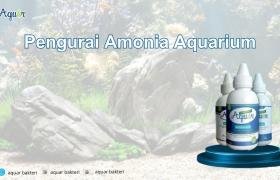 Pengurai Amonia Aquarium