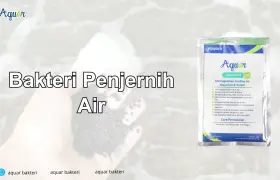 Bakteri Penjernih Air
