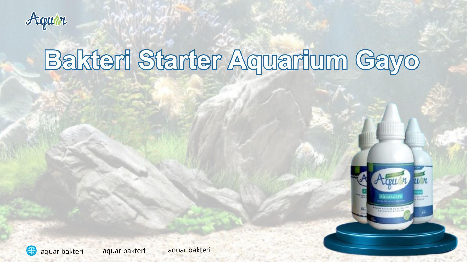 Bakteri Starter Aquarium Gayo