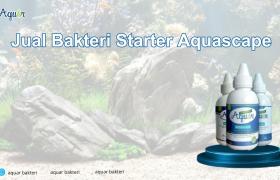 Jual Bakteri Starter Aquascape